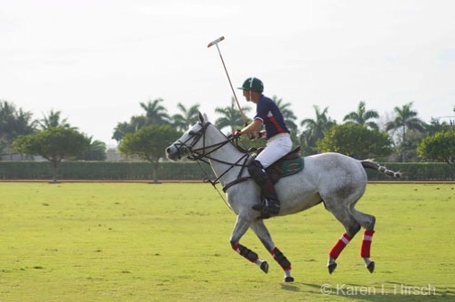 Polo player on white horse on polo field